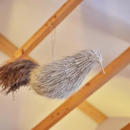 Vakantiehuis Atostogu Namelis Druskininkuose Druskininkai