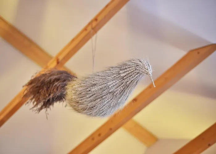 Ferienhaus Atostogu Namelis Druskininkuose Druskininkai