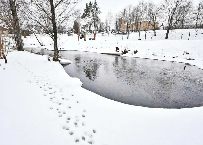Atostogu Namelis Druskininkuose Σπίτι διακοπών *